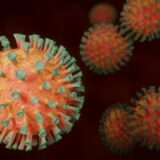 Koronavírus - A fertőzés új mechanizmusát fedezték fel szegedi kutatók