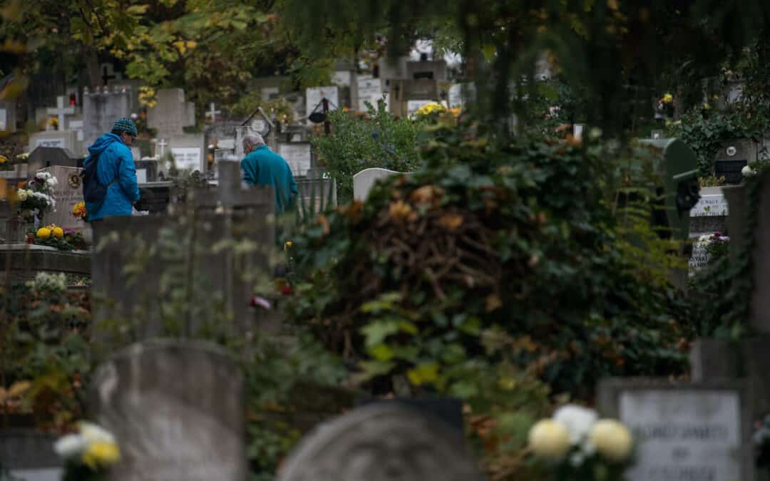 halottak napja temetők nyitva tartas film