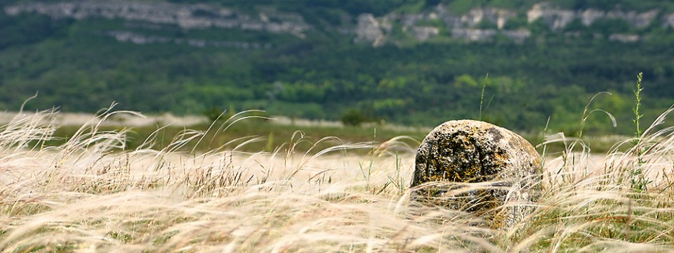 Biatorbágy gyöngyszemei: Bolha-hegy