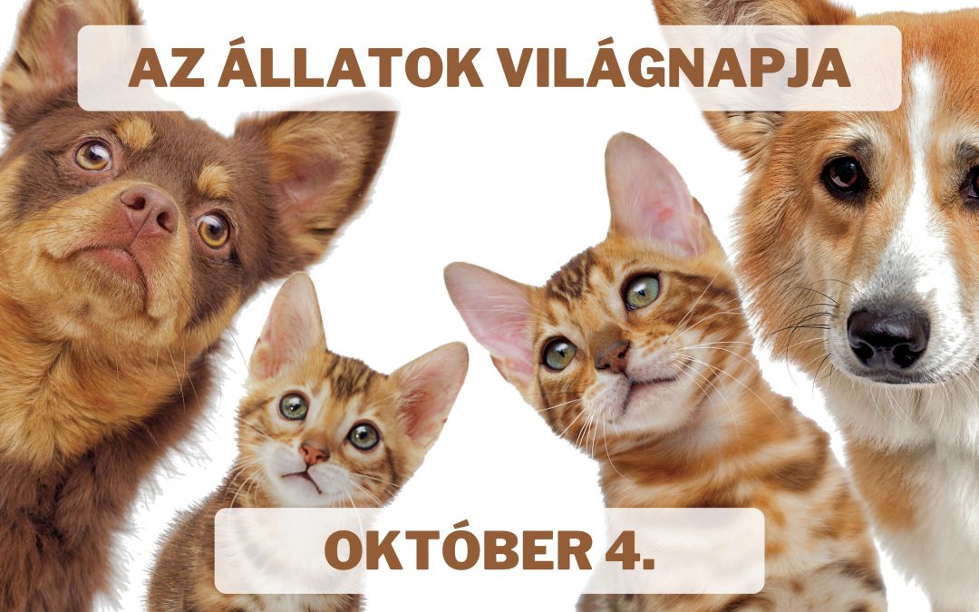 Önnek van kutyája, cicája? Ha igen, akkor egészségesebb, boldogabb lehet és tovább is élhet!